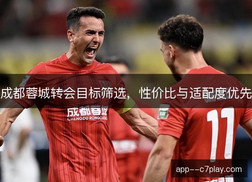 成都蓉城转会目标筛选，性价比与适配度优先